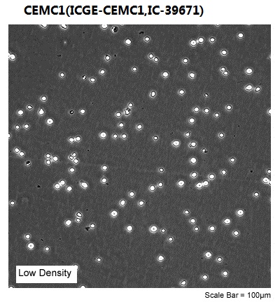 CEM/C1(ICGE-CEM/C1,IC-39671)