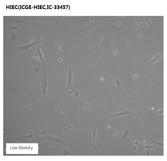 HIEC(ICGE-HIEC,IC-33457)