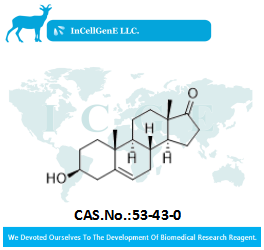 DehydroepiandrosteroneDHEA53-43-0IC019061