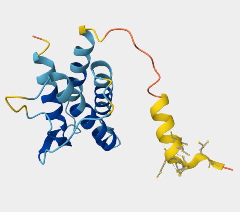 Recombinant Mouse IL-4,CYT-P07750